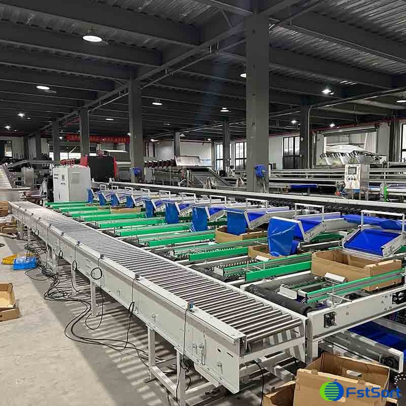 images/1716193037229tomato optical sorting machine.jpg